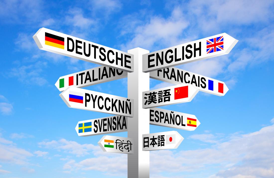 Multilingual Support